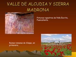VALLE DE ALCUDIA Y SIERRA MADRONA Pinturas rupestres de Peña Escrita, Fuencaliente. Ruinas romanas de Sísapo, en  primavera. 