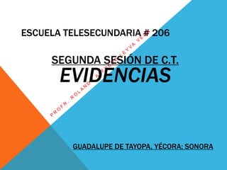 ESCUELA TELESECUNDARIA # 206
SEGUNDA SESIÓN DE C.T.
EVIDENCIAS
GUADALUPE DE TAYOPA, YÉCORA; SONORA
 