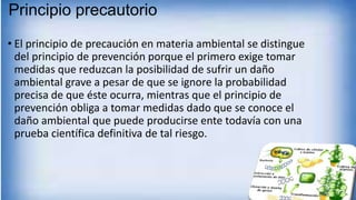 Principio precautorio
• El principio de precaución en materia ambiental se distingue
del principio de prevención porque el primero exige tomar
medidas que reduzcan la posibilidad de sufrir un daño
ambiental grave a pesar de que se ignore la probabilidad
precisa de que éste ocurra, mientras que el principio de
prevención obliga a tomar medidas dado que se conoce el
daño ambiental que puede producirse ente todavía con una
prueba científica definitiva de tal riesgo.
 