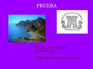 PRUEBA       M.DEL MAR MORENO DOMÍNGUEZ   PINO DEL PUERTO PORTILLO 