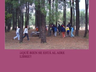 ¡¡¡QUÉ BIEN SE ESTÁ AL AIRE LIBRE!!! ¡¡QUÉ BIEN SE ESTÁ AL AIRE LIBRE!! 