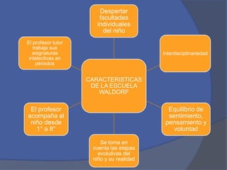Despertar
facultades
individuales
del niño
El profesor tutor
trabaja sus
asignaturas
intelectivas en
périodos

Interdisciplinariedad

CARACTERISTICAS
DE LA ESCUELA
WALDORF

El profesor
acompaña al
niño desde
1° a 8°

Equilibrio de
sentimiento,
pensamiento y
voluntad
Se toma en
cuenta las etapas
evolutivas del
niño y su realidad

 