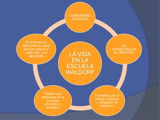 COMUNIDAD
ESCOLAR

El profesor es
libre ante su clase
porque conoce a
cada niño y su
desarrollo

Padres que
participan en el
proceso
educativo y
formativo

LA VIDA
EN LA
ESCUELA
WALDORF

Su
característica es
la LIBERTAD

Formadas por el
trabajo conjunto
y colegiado de
maestro s

 