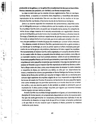 ,.
                                                                                                           1.


                                                                                                           !


           produccl6n en las plUnas y en los pllos. Era un audiovisual de dz:a que I t desarrollaba
           frante a nosotros con precision. con clarfdad y con lIaneD excepclonales.
    '. 
         La clue no durO mb que los sesenta. mlnutos reglamentarios. Pero en ese lapso
           tuvlmos frente a nosotros un escenarlo claro. Inequlvoco y maravllloso del sistema
            reproductivo de los vertebrados. Esta era una dase mas de las muchas en las que
            Antonio Carrillo nos lIevaba al fasdnante mundo de losfen6menos biol6gkos.
                 Junto a su enorme capacidad de transmlsion de conocimientos. adquiridos tanto
            por la bibllograna como por su trabajo prnctico con los modelos de los que nos habla­
            ba, el prefesor Carrillo tenia una pasion 'por el estudlo de las plantas. En companla de
            varlos de sus colegas maestros de Ill. escuela. excurslonaba con regularidad a diversas
             partes de la Republlca,particularmente a las montanas de Moretos y a diversas areas de
             Durango y Coahulfa para recolectar especlmenes de piantas mexicanas que iban con­
             formando un ltalioso herbario en I" escuela, que no se usaba para ensenar a 10:' alum­
             nos, sino para sadsfacer ellnter~ del grupo de IO;CstroS por ccnocer la flvr::. mexlcana.
                  No obstante,a trZv~s d"eeAntonio Carrillo y particularmente de su genio artistico y
             su Interes por la morfologia, yo tuve un primer asomo a la ftora mexlcana.lusto por
              medlo de uno d~'o$ grUpos mas e)(otlt;o~ y fascinantes del reino vegetal: las orquldeas.
              Permanentemente.el maestro Carrillo tenIa organlzada. en la esqulna .derecha del fon­
              do de nuestrO salim de 'clases. su pequela £rea de trabaJo, que conslstla, como dlje. en
              un restirador enorme -0 ast me 10 pareda ~ntonces- sobre el cual se ordenaban per­
              fecamente pequeftosfrascos COf! formel que contenlan preservadas flores de diversa5
              orqu(dea~ as( como pequeftos re:ipfentes que mantenlan vivos algunos ejemplares que
              estaban en ftor1clon y que el maestro Carrillo reproduc!a en bellislmas laminas a color.
              Verlo dlbujtr entftuna     clase yotra. unos mlnutos antes de empezar It s!sl6n matutlna
              o vespertlna de (lases. era realmente una delicia, no s610 por ver desarrollarse los
               tratcs y metc1arselos colores que generaban en' forma fldedigna las formas y las tona­

L
             IIdades de las f1ores. sino tambr~n por escuchar el maglco relato de sus aventuras para
               colectar algUn especlmen de orquldea colgado de un risco impensable en alguna de las
               barranas del estado de Morelos. EI encanto y la fasclnaci6n de esos pequenos lapsos
l
              eran como ventana~ que nos permitlan asomarnos a un mundo descrito con un eno.""
                me carlfo y con una enorme pasl6n. A ello tamblen se anadla la admiracl6n, que un
                muchacho de 15 alos puede prodigar muy bien, por alguien que transmite honesta­
L
                mente el gUSto con que realiu sus tareas.
                    Antonio Carrillo nos ensellaba blologla apoyado en el gusto y el conocimiento de su
                dlsc:lpllna. En forma natural y sin proponerselo, deposltaba en varios de nosotros semi­
                lias que mas tarde germlnarian en vocaclones profeslonales bien- d~finidas. A mas de
                 trelnta alO$ de dlstancla, no tengo duda de que el fue ml mejor orientador profeslonal
                 y de que del6 en mt una voaci6n que nl siqulera el efectO posterior <if:: maestros
                 medlocres pudo desvlar.



                                                          69
 