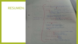 RESUMEN:
 