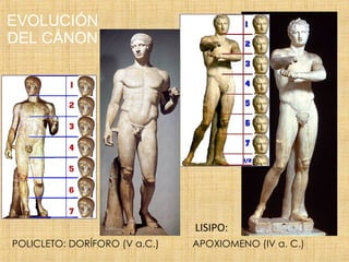 EVOLUCIÓN DEL CÁNON POLICLETO: DORÍFORO (V a.C.) APOXIOMENO (IV a. C.) LISIPO: 