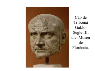 Cap de
Tribonià
Gal.lo.
Segle III.
d.c. Museu
de
Florència.
 
