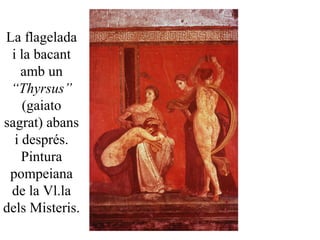 La flagelada
i la bacant
amb un
“Thyrsus”
(gaiato
sagrat) abans
i després.
Pintura
pompeiana
de la Vl.la
dels Misteris.
 