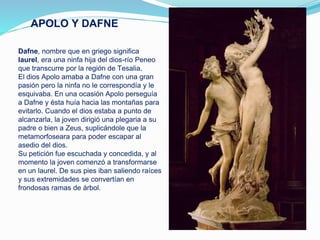 APOLO Y DAFNE
Dafne, nombre que en griego significa
laurel, era una ninfa hija del dios-río Peneo
que transcurre por la región de Tesalia.
El dios Apolo amaba a Dafne con una gran
pasión pero la ninfa no le correspondía y le
esquivaba. En una ocasión Apolo perseguía
a Dafne y ésta huía hacia las montañas para
evitarlo. Cuando el dios estaba a punto de
alcanzarla, la joven dirigió una plegaria a su
padre o bien a Zeus, suplicándole que la
metamorfoseara para poder escapar al
asedio del dios.
Su petición fue escuchada y concedida, y al
momento la joven comenzó a transformarse
en un laurel. De sus pies iban saliendo raíces
y sus extremidades se convertían en
frondosas ramas de árbol.
 