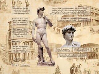 Musculatura vigorosa y
rostro concentrado que
reflejan fuerza y
dinamismo en potencia.
Exaltación de la fuerza
física como “virtud”
unida con la belleza y
las formas clásicas.
Contrapposto clásico
pero con los brazos
mas tensionados y las
piernas demasiado
abiertas.
Refleja la intensidad
del instante (venas y
nervios marcados en
brazos y manos).
El giro de la cabeza
rompe la frontalidad
Diartrosis
Miguel Ángel,
"David”, 1504.
Miguel Ángel representa a este rey bíblico a gran
tamaño, al estilo clásico: completamente desnudo y
como atleta. Porta en su mano izquierda una honda
(apoyada sobre su hombro) y, en la derecha, una piedra.
Representan a la perfección los ideales
renacentistas de belleza masculina.
5.572 Kg. 5,17 metros
Se aprecian claramente los rasgos del
rostro, el cabello rizado y la musculatura.
Mirada penetrante y
tensión corporal.
 