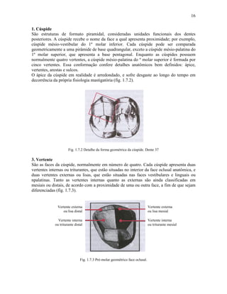 16

1. Cúspide
São estruturas de formato piramidal, consideradas unidades funcionais dos dentes
posteriores. A cúspide recebe o nome da face a qual apresenta proximidade; por exemplo,
cúspide mésio-vestibular do 1º molar inferior. Cada cúspide pode ser comparada
geometricamente a uma pirâmide de base quadrangular, exceto a cúspide mésio-palatina do
1º molar superior, que apresenta a base pentagonal. Enquanto as cúspides possuem
normalmente quatro vertentes, a cúspide mésio-palatina do º molar superior é formada por
cinco vertentes. Essa conformação confere detalhes anatômicos bem definidos: ápice,
vertentes, arestas e sulcos.
O ápice da cúspide em realidade é arredondado, e sofre desgaste ao longo do tempo em
decorrência da própria fisiologia mastigatória (fig. 1.7.2).




                      Fig. 1.7.2 Detalhe da forma geométrica da cúspide. Dente 37

3. Vertente
São as faces da cúspide, normalmente em número de quatro. Cada cúspide apresenta duas
vertentes internas ou triturantes, que estão situadas no interior da face oclusal anatômica, e
duas vertentes externas ou lisas, que estão situadas nas faces vestibulares e linguais ou
npalatinas. Tanto as vertentes internas quanto as externas são ainda classificadas em
mesiais ou distais, de acordo com a proximidade de uma ou outra face, a fim de que sejam
diferenciadas (fig. 1.7.3).


               Vertente externa                                                Vertente externa
                  ou lisa distal                                               ou lisa mesial

               Vertente interna                                                Vertente interna
             ou triturante distal                                              ou triturante mesial




                               Fig. 1.7.3 Pré-molar geométrico face oclusal.
 
