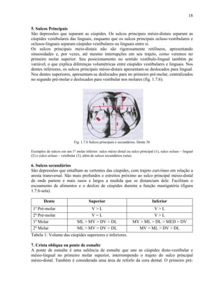 18

5. Sulcos Principais
São depressões que separam as cúspides. Os sulcos principais mésio-distais separam as
cúspides vestibulares das linguais, enquanto que os sulcos principais ocluso-vestibulares e
oclusos-linguais separam cúspides vestibulares ou linguais entre si.
Os sulcos principais meio-distais não são rigorosamente retilíneos, apresentando
sinuosidades e, por vezes, até mesmo interrupções em seu trajeto, como veremos no
primeiro molar superior. Seu posicionamento no sentido vestíbulo-lingual também pe
variável, o que explica diferenças volumétricas entre cúspides vestibulares e linguais. Nos
dentes inferiores, os sulcos principais mésio-distais apresentam-se deslocados para lingual.
Nos dentes superiores, apresentam-se deslocados para no primeiro pré-molar, centralizados
no segundo pré-molar e deslocados para vestibular nos molares (fig. 1.7.6).




                            Fig. 1.7.6 Sulcos principais e secundários. Dente 36

Exemplos de sulcos em um 1º molar inferior: sulco mésio distal ou sulco principal (1), sulco ocluso – lingual
(2) e culco ocluso – vestibular (3), além de sulcos secundários (seta).

6. Sulcos secundários
São depressões que entalham as vertentes das cúspides, com trajeto curviíneo em relação a
aresta transversal. São mais profundos e estreitos próximo ao sulco principal mésio-distal
de onde partem e mais rasos e largos a medida que se distanciam dele. Facilitam o
escoamento de alimentos e o deslize de cúspides durente a função mastigatória (figura
1.7.6-seta).

        Dente                         Superior                                     Inferior
 1º Pré-molar                       V>L                                      V>L
 2º Pré-molar                       V=L                                      V>L
 1º Molar                     ML > MV > DV > DL                     MV > ML > DL > MED > DV
 2º Molar                     ML > MV > DV > DL                       MV > ML > DV > DL
Tabela 1: Volume das cúspides superiores e inferiores.

7. Crista oblíqua ou ponte de esmalte
A ponte de esmalte é uma saliência de esmalte que une as cúspides disto-vestibular e
mésio-lingual no primeiro molar superior, interrompendo o trajeto do sulco principal
mésio-distal. Também é considerada uma área de reforlo da cora dental. O primeiro pré-
 