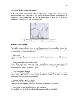 20


Capítulo 2 – Relações interdentárias

Há dois tipos de relação de contato entre os dentes: relação interproximal e relação oclusal.
A relação interproximal caracteriza-se pelo contato estabelecido entre as faces proximais de
dentes adjacentes de mesmo arco. A relação oclusal pe descrita como relação de contato
entre dentes antagônicos, ou seja, de arcos opostos.




                 Fig. 2.1 A relação interproximal ocorre entre dentes de mesmo arco.
               A relação interoclusal ocorre entre dentes de arco opostos (antagônicos).

Relações Interproximais

Para melhor compreendermos como se estabelece a relação interproximal dos dentes, bem
como suas dimensões, é necessário o conhecimento da anatomia envolvida, ou seja, das
faces proximais e estruturas adjacentes:

• Dimensões
Mesial maior que distal, tanto no sentido vestíbulo-lingual quanto no sentido cérvico-
oclusal.

• Convexidade (sentido vestíbulo-lingual)
A face distal mais convexa que sial (que é mais plana). Quando nos aproximamos da
porção cervical da coroa, no sentido ocluso-cervical, a face mesial adquire um formato
mais aconcavado quando comparada à distal.

• Área de maior convexidade
Em ambas as faces, a região mais proeminente localiza-se no terço oclusal, no sentido
cérvico-oclusal. No sentido vestíbulo-lingual, essa região localiza-se no terço vestibular,
coincidindo com a área de contato proximal.

• Formato das faces (vista proximal)
Dentes anteriores: aspectos triangular
Dentes posteriores: aspectos trapézoidal (superiores) ou romboidal (inferiores)

• Direção das faces no sentido vertical (vista vestibular)
Convergência para cervical, sendo inclinação mais acentuada na face distal.
 
