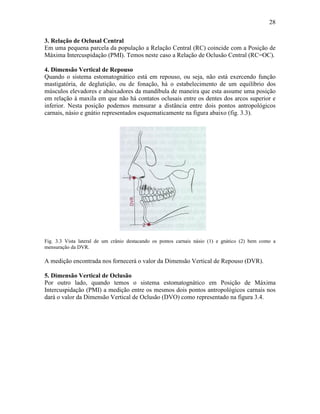 28

3. Relação de Oclusal Central
Em uma pequena parcela da população a Relação Central (RC) coincide com a Posição de
Máxima Intercuspidação (PMI). Temos neste caso a Relação de Oclusão Central (RC=OC).

4. Dimensão Vertical de Repouso
Quando o sistema estomatognático está em repouso, ou seja, não está exercendo função
mastigatória, de deglutição, ou de fonação, há o estabelecimento de um equilíbrio dos
músculos elevadores e abaixadores da mandíbula de maneira que esta assume uma posição
em relação à maxila em que não há contatos oclusais entre os dentes dos arcos superior e
inferior. Nesta posição podemos mensurar a distância entre dois pontos antropológicos
carnais, násio e gnátio representados esquematicamente na figura abaixo (fig. 3.3).




Fig. 3.3 Vista lateral de um crânio destacando os pontos carnais násio (1) e gnático (2) bem como a
mensuração da DVR.

A medição encontrada nos fornecerá o valor da Dimensão Vertical de Repouso (DVR).

5. Dimensão Vertical de Oclusão
Por outro lado, quando temos o sistema estomatognático em Posição de Máxima
Intercuspidação (PMI) a medição entre os mesmos dois pontos antropológicos carnais nos
dará o valor da Dimensão Vertical de Oclusão (DVO) como representado na figura 3.4.
 