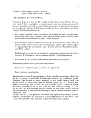 8

Exemplo: 1º molar superior esquerdo – dente 26
           Incisivo lateral inferior direito – dente 42

1.3 Nomenclatura das Faces dos Dentes

O elemento dental é dividido em duas porções distintas: coroa e raiz. O limite divisório
entre elas é de fácil visualização e se caracteriza como uma linha contínua, sinuosa e de
formato variável que se estende por todos os lados dos dentes. É a linha do colo anatômico,
correspondente à região cervical do dente. A cada um destes lados chamaremos faces.
Podemos classificar estas faces como:

•   Faces livres (vestibular, lingual ou palatina): são as faces dos dentes que não matem
    contato com outros dentes da mesma arcada, estando voltadas, respectivamente, para o
    lábio e bochechas (vestíbulo bucal) e para a língua ou palato;

•   Faces proximais (mesial e distal): são as faces que mantêm contatos com os dentes da
    mesma arcada, estando voltadas, respectivamente, para o plano sagital mediano, e para
    a porção posterior dos arcos dentais. A face distal dos últimos molares não faz contato
    com dentes vizinhos;

•   Borda incisal: apesar de não ser uma face, é uma característica importante dos dentes
    anteriores. É formada pelo encontro das faces vestibular e lingual destes dentes.

•   Face oclusal: é a face dos dentes posteriores voltada para o arco antagonista.

As faces levam o nome do lado para o qual estão voltadas.

•   Faces livres: vestibular e lingual (ou palatina nos superiores).

•   Faces proximais: mesial e distal.

Didaticamente, o estudo da anatomia da coroa dental é amplamente facilitado pela divisão
das faces em terços e pelos sentidos de visualização. Em uma vista vestibular ou lingual,
dividimos a face do dente no sentido horizontal em terço mesial, médio e distal, e no
sentido vertical, em terço oclusal ou incisal, médio e cervical (fig. 1.3.1). Em uma vista
proximal, dividimos a face do dente em terço vestibular, médio e lingual no sentido
horizontal e, no sentido vertical, em terço incisal ou oclusal, ,édio e cervical (fig. 1.3.2). Por
fim, em uma vista oclusal teremos uma face dividade em terço mesial, médio e distal no
sentido médio-distal e, no sentido vestíbulo-lingual teremos os terços vestibular, médio e
lingual (fig. 1.3.3).
No terço cervical, as faces proximais apresentam uma depressão característica, de maior
magnitude e concavidade nas fazes mesiais e quase imperceptível nas faces distais. Estas
concavidades, chamadas lojas papilares, são preenchidas pela papila gengival.
 