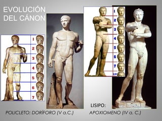 POLICLETO: DORÍFORO (V a.C.) APOXIOMENO (IV a. C.)
EVOLUCIÓN
DEL CÁNON
LISIPO:
 