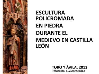 ESCULTURA
POLICROMADA
EN PIEDRA
DURANTE EL
MEDIEVO EN CASTILLA
LEÓN


     TORO Y ÁVILA, 2012
     FOTÓGRAFO: A. ÁLVAREZ CALERO
 
