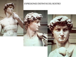 EXPRESIONES DISTINTAS DEL ROSTRO 
 