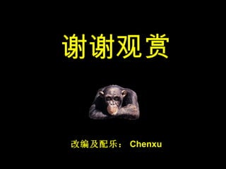 谢谢观赏 改编及配乐： Chenxu 