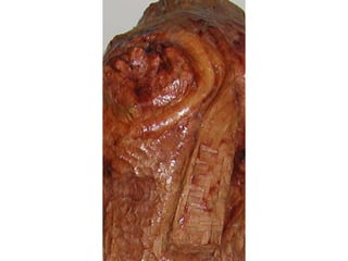 Esculturas en madera