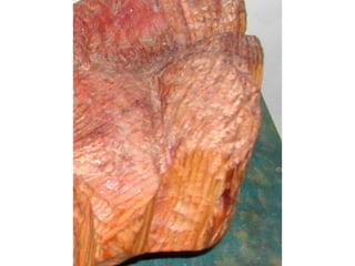 Esculturas en madera