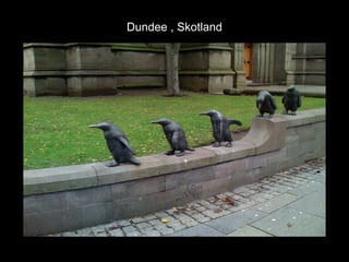 Dundee , Skotland
 