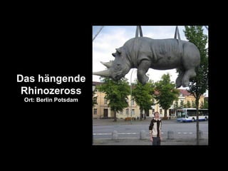 Das hängende
Rhinozeross
Ort: Berlin Potsdam
 