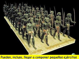 Pueden, incluso, llegar a componer pequeños ejércitosPueden, incluso, llegar a componer pequeños ejércitos
 