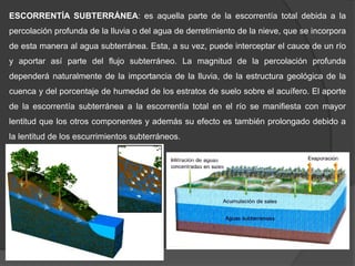 ESCORRENTÍA SUBTERRÁNEA: es aquella parte de la escorrentía total debida a la
percolación profunda de la lluvia o del agua de derretimiento de la nieve, que se incorpora
de esta manera al agua subterránea. Esta, a su vez, puede interceptar el cauce de un río
y aportar así parte del flujo subterráneo. La magnitud de la percolación profunda
dependerá naturalmente de la importancia de la lluvia, de la estructura geológica de la
cuenca y del porcentaje de humedad de los estratos de suelo sobre el acuífero. El aporte
de la escorrentía subterránea a la escorrentía total en el río se manifiesta con mayor
lentitud que los otros componentes y además su efecto es también prolongado debido a
la lentitud de los escurrimientos subterráneos.
 