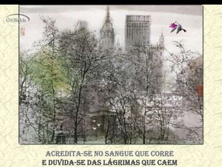 Acredita-se no sangue que corre
e duvida-se das lágrimas que caem
 