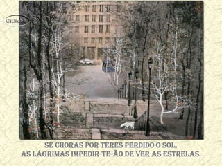 Se choras por teres perdido o Sol,
as lágrimas impedir-te-ão de ver as Estrelas.
 