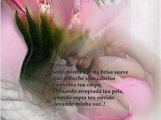 solto minha voz na brisa suave  que remeche teus cabelos  e envolve teu corpo,  Deixando arrepiada tua pele,  quando sopra teu ouvido levando minha voz..! 