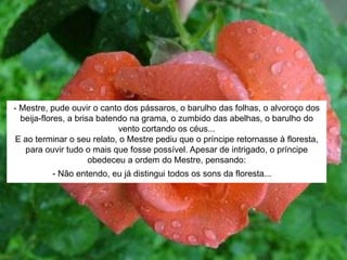 - Mestre, pude ouvir o canto dos pássaros, o barulho das folhas, o alvoroço dos
beija-flores, a brisa batendo na grama, o zumbido das abelhas, o barulho do
vento cortando os céus...
E ao terminar o seu relato, o Mestre pediu que o príncipe retornasse à floresta,
para ouvir tudo o mais que fosse possível. Apesar de intrigado, o príncipe
obedeceu a ordem do Mestre, pensando:
- Não entendo, eu já distingui todos os sons da floresta... =
 