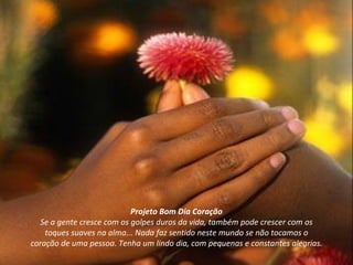 Projeto Bom Dia Coração Se a gente cresce com os golpes duros da vida, também pode crescer com os toques suaves na alma... Nada faz sentido neste mundo se não tocamos o coração de uma pessoa. Tenha um lindo dia, com pequenas e constantes alegrias. 