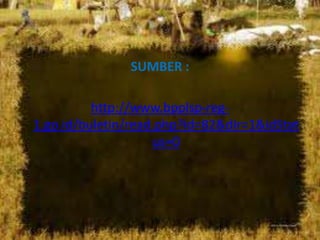 mendidikmanusia agar sadartentangindividual responsibility yang harusdikontribusikan, menghormatihak-hakorang lain, alamdandiversitas