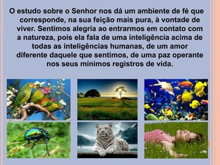 O estudo sobre o Senhor nos dá um ambiente de fé que
corresponde, na sua feição mais pura, à vontade de
viver. Sentimos alegria ao entrarmos em contato com
a natureza, pois ela fala de uma inteligência acima de
todas as inteligências humanas, de um amor
diferente daquele que sentimos, de uma paz operante
nos seus mínimos registros de vida.
 