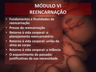 MÓDULO VI
REENCARNAÇÃO
• Fundamentos e finalidades da
reencarnação
• Provas da reencarnação
• Retorno à vida corporal: o
planejamento reencarnatório
• Retorno à vida corporal: união da
alma ao corpo
• Retorno à vida corporal: a infância
• O esquecimento do passado:
justificativas da sua necessidade
 