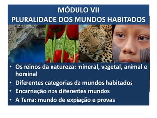 MÓDULO VII
PLURALIDADE DOS MUNDOS HABITADOS
• Os reinos da natureza: mineral, vegetal, animal e
hominal
• Diferentes categorias de mundos habitados
• Encarnação nos diferentes mundos
• A Terra: mundo de expiação e provas
 