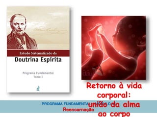 PROGRAMA FUNDAMENTAL - MÓDULO VI
Reencarnação
Retorno à vida
corporal:
união da alma
ao corpo
 