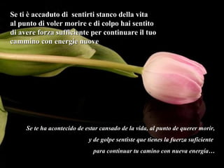 Se ti è accaduto di  sentirti stanco della vita al punto di voler morire e di colpo hai sentito di avere forza sufficiente per continuare il tuo cammino con energie nuove Se te ha acontecido de estar cansado de la vida, al punto de querer morir, y de golpe sentiste que tienes la fuerza suficiente  para continuar tu camino con nueva energía… 