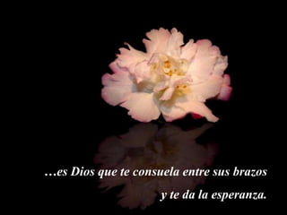 …es Dios que te consuela entre sus brazos
                     y te da la esperanza.
 
