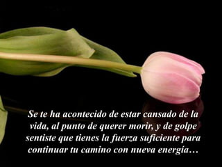 Se te ha acontecido de estar cansado de la
 vida, al punto de querer morir, y de golpe
sentiste que tienes la fuerza suficiente para
 continuar tu camino con nueva energía…
 