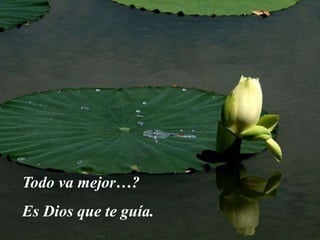 Todo va mejor…?
Es Dios que te guía.
 