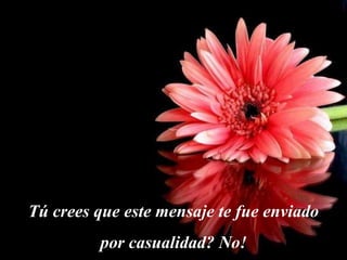 Tú crees que este mensaje te fue enviado
         por casualidad? No!
 