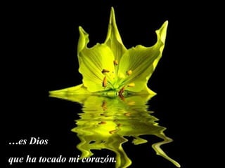 …es Dios
que ha tocado mi corazón.
 