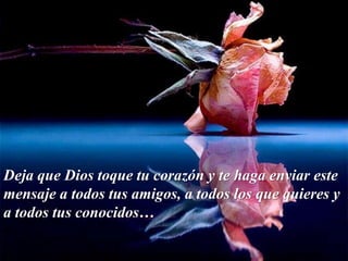 Deja que Dios toque tu corazón y te haga enviar este
mensaje a todos tus amigos, a todos los que quieres y
a todos tus conocidos…
 