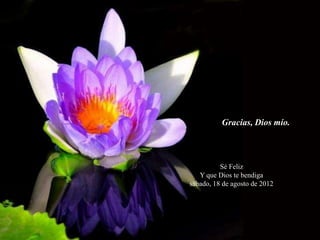 Gracias, Dios mío.



          Sé Feliz
   Y que Dios te bendiga
sábado, 18 de agosto de 2012
 