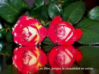 …es Dios, porque la casualidad no existe.
 