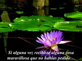 Si alguna vez recibiste alguna cosa
maravillosa que no habías pedido…
 