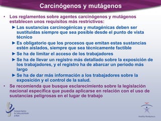 Carcinógenos y mutágenos
• Los reglamentos sobre agentes carcinógenos y mutágenos
establecen unos requisitos más restrictivos:
►Las sustancias carcinogénicas y mutagénicas deben ser
sustituidas siempre que sea posible desde el punto de vista
técnico
►Es obligatorio que los procesos que emitan estas sustancias
estén aislados, siempre que sea técnicamente factible
►Se ha de limitar el acceso de los trabajadores
►Se ha de llevar un registro más detallado sobre la exposición de
los trabajadores, y el registro ha de abarcar un periodo más
largo
►Se ha de dar más información a los trabajadores sobre la
exposición y el control de la salud.
• Se recomienda que busque esclarecimiento sobre la legislación
nacional específica que pueda aplicarse en relación con el uso de
sustancias peligrosas en el lugar de trabajo
 
